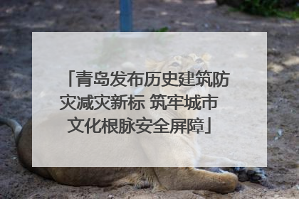 青岛发布历史建筑防灾减灾新标 筑牢城市文化根脉安全屏障