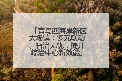 青岛西海岸新区大场镇：多元联动、智治无忧，提升综治中心新效能