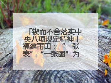 锲而不舍落实中央八项规定精神丨福建莆田：“一张表”“一张图”为基层减轻“数字负担”