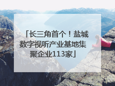 长三角首个！盐城数字视听产业基地集聚企业113家