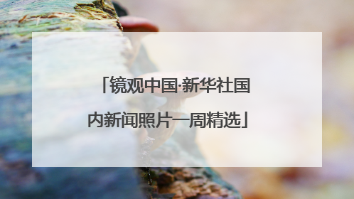 镜观中国·新华社国内新闻照片一周精选