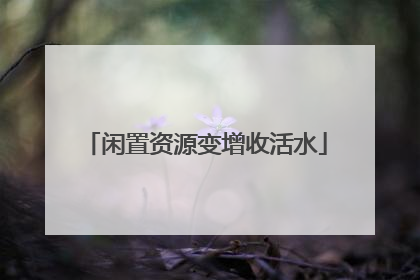 闲置资源变增收活水