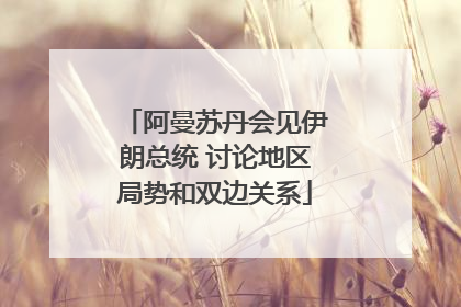 阿曼苏丹会见伊朗总统 讨论地区局势和双边关系