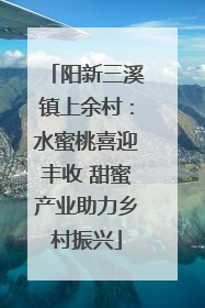 阳新三溪镇上余村：水蜜桃喜迎丰收 甜蜜产业助力乡村振兴