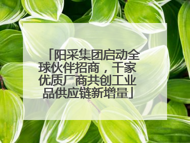 阳采集团启动全球伙伴招商，千家优质厂商共创工业品供应链新增量