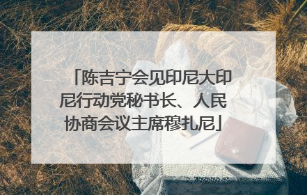 陈吉宁会见印尼大印尼行动党秘书长、人民协商会议主席穆扎尼
