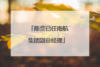 陈詟已任南航集团副总经理