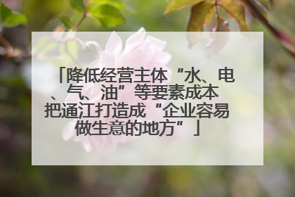 降低经营主体“水、电、气、油”等要素成本 把通江打造成“企业容易做生意的地方”
