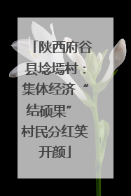 陕西府谷县埝墕村：集体经济“结硕果” 村民分红笑开颜