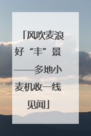 风吹麦浪好“丰”景——多地小麦机收一线见闻