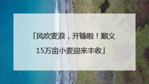 风吹麦浪，开镰啦！顺义15万亩小麦迎来丰收