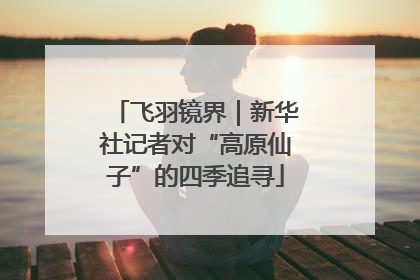 飞羽镜界｜新华社记者对“高原仙子”的四季追寻