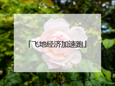 飞地经济加速跑