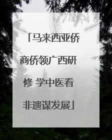 马来西亚侨商侨领广西研修 学中医看非遗谋发展