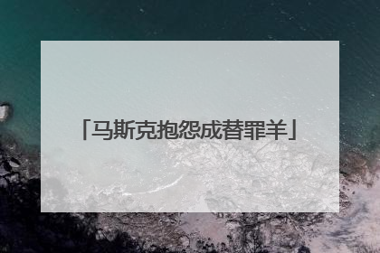 马斯克抱怨成替罪羊