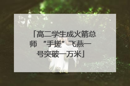 高二学生成火箭总师 “手搓”飞燕一号突破一万米