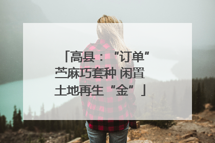 高县：“订单”苎麻巧套种 闲置土地再生“金”