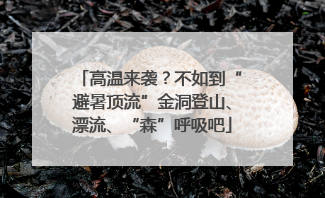 高温来袭？不如到“避暑顶流”金洞登山、漂流、“森”呼吸吧