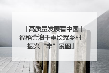 高质量发展看中国丨福稻金浪千重绘就乡村振兴“丰”景图