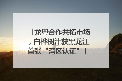 龙粤合作共拓市场，白桦树汁获黑龙江首张“湾区认证”