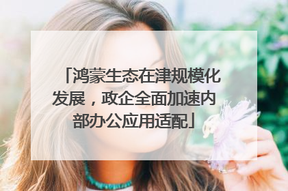 鸿蒙生态在津规模化发展，政企全面加速内部办公应用适配