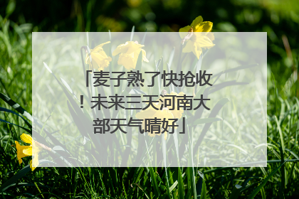 麦子熟了快抢收！未来三天河南大部天气晴好