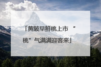 黄陂早鲜桃上市 “桃”气满满迎客来