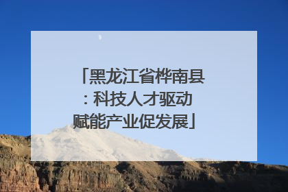 黑龙江省桦南县：科技人才驱动 赋能产业促发展