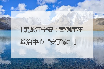 黑龙江宁安：案例库在综治中心“安了家”