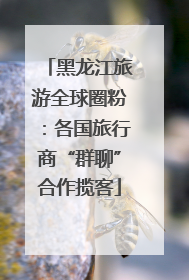 黑龙江旅游全球圈粉：各国旅行商“群聊”合作揽客