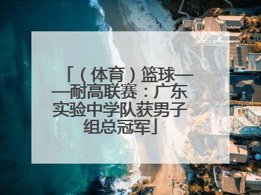 （体育）篮球——耐高联赛：广东实验中学队获男子组总冠军