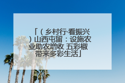 （乡村行·看振兴）山西屯留：设施农业助农增收 五彩椒带来多彩生活