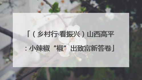 （乡村行·看振兴）山西高平：小辣椒“椒”出致富新答卷