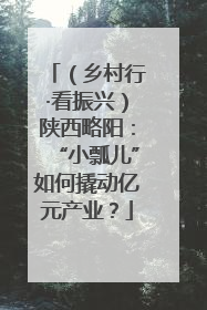 （乡村行·看振兴）陕西略阳：“小瓢儿”如何撬动亿元产业？