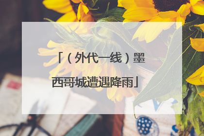 （外代一线）墨西哥城遭遇降雨