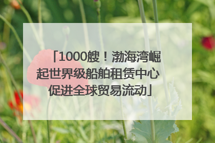 1000艘！渤海湾崛起世界级船舶租赁中心 促进全球贸易流动