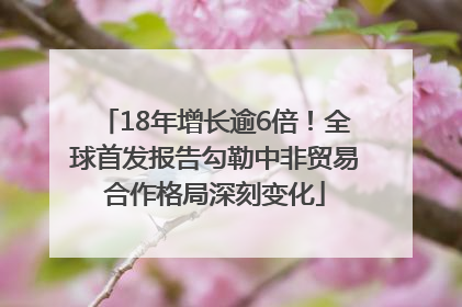 18年增长逾6倍！全球首发报告勾勒中非贸易合作格局深刻变化