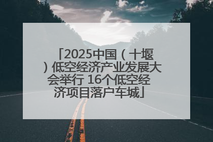 2025中国（十堰）低空经济产业发展大会举行 16个低空经济项目落户车城