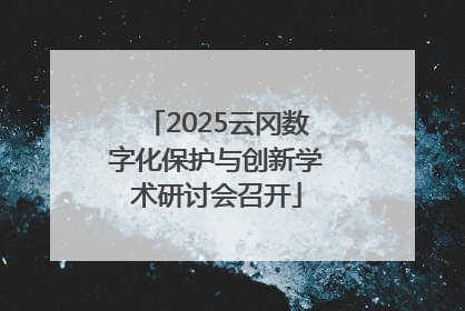 2025云冈数字化保护与创新学术研讨会召开