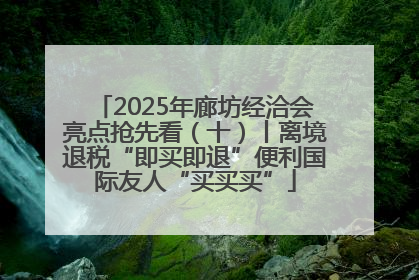 2025年廊坊经洽会亮点抢先看（十）丨离境退税“即买即退”便利国际友人“买买买”
