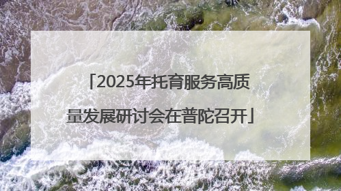 2025年托育服务高质量发展研讨会在普陀召开