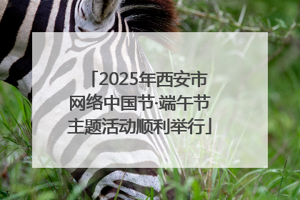 2025年西安市网络中国节·端午节主题活动顺利举行