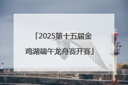 2025第十五届金鸡湖端午龙舟赛开赛
