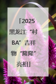 2025黑龙江“村BA”吉祥物“隆隆”亮相
