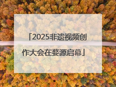 2025非遗视频创作大会在婺源启幕