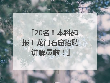 20名！本科起报！龙门石窟招聘讲解员啦！