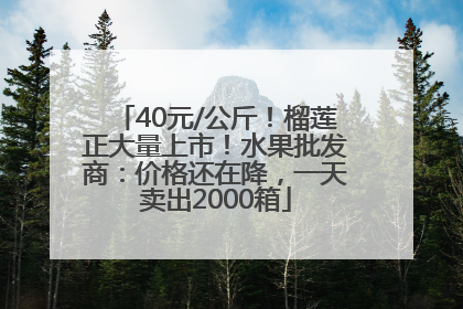 40元/公斤！榴莲正大量上市！水果批发商：价格还在降，一天卖出2000箱