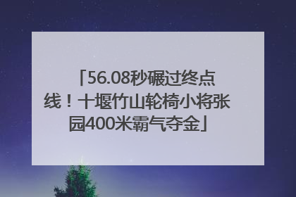 56.08秒碾过终点线！十堰竹山轮椅小将张园400米霸气夺金