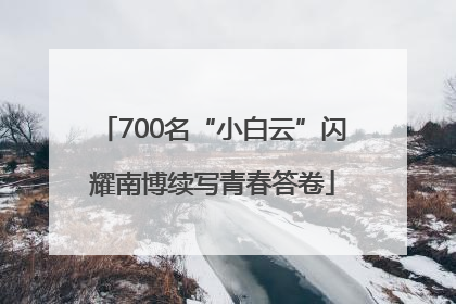700名“小白云”闪耀南博续写青春答卷
