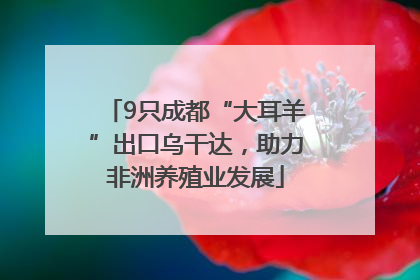 9只成都“大耳羊”出口乌干达，助力非洲养殖业发展